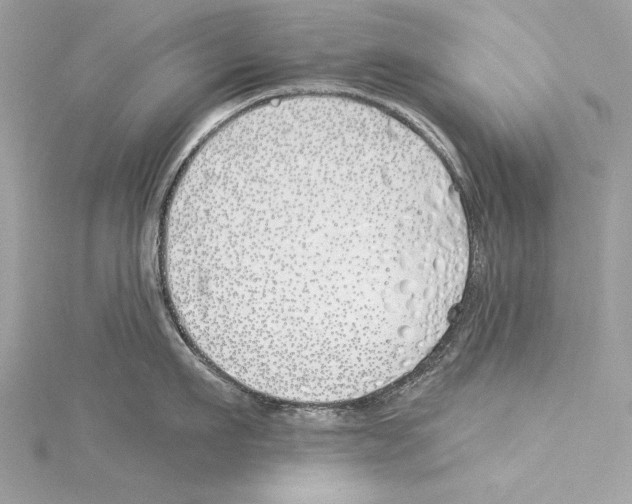 X0000114510911200911301145