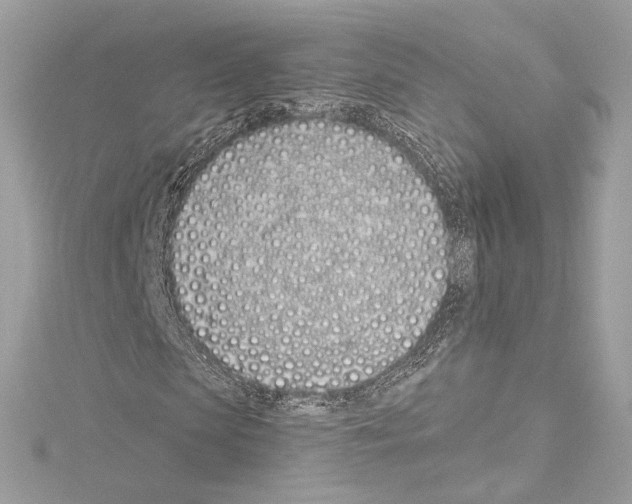 X0000114510913200911301145