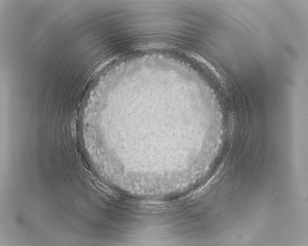 X0000114510921200911301145