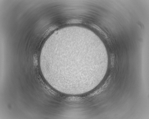 X0000114510929200911301145