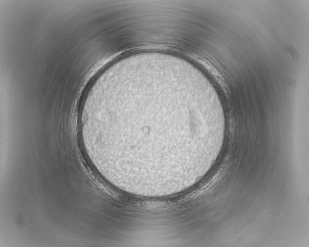 X0000114510933200911301145