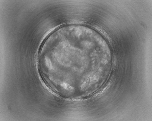 X0000114510941200911301145