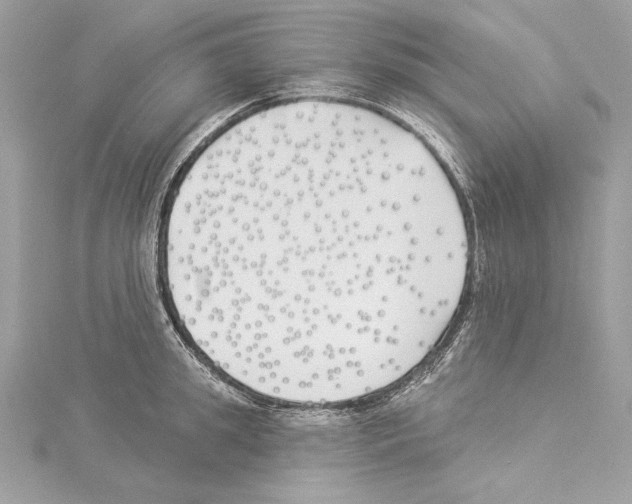 X0000114510949200911301145