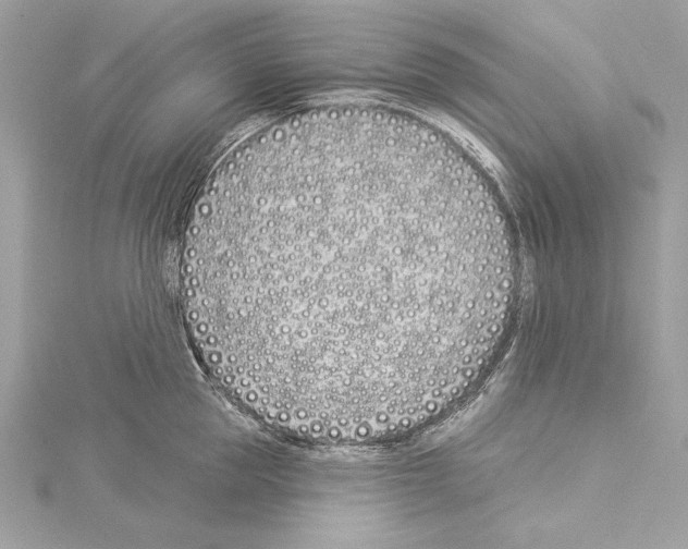 X0000114510953200911301145