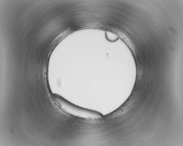 X0000114510954200911301145