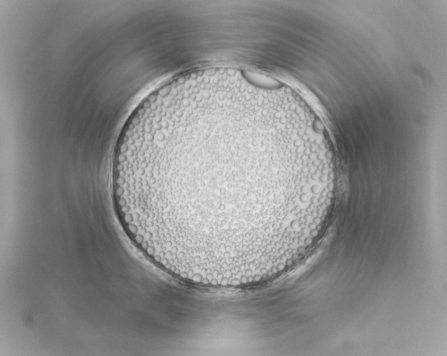 X0000114510957200911301145