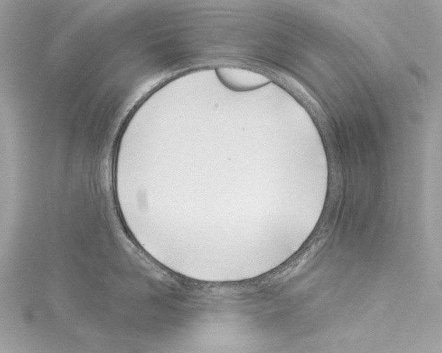 X0000114510958200911301145