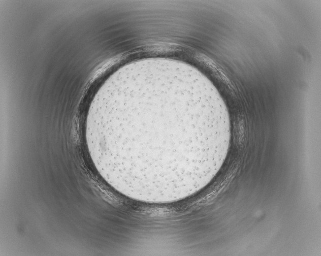 X0000114510970200911301144