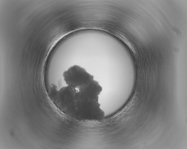 X0000114510972200911301144