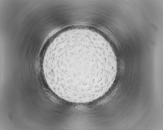 X0000114510974200911301144