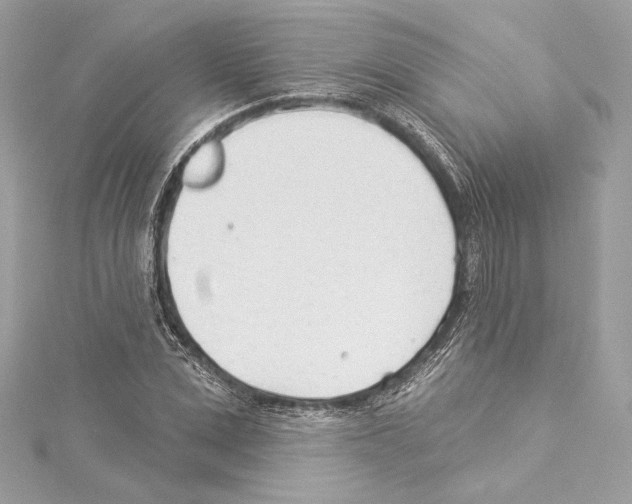 X0000114510975200911301144