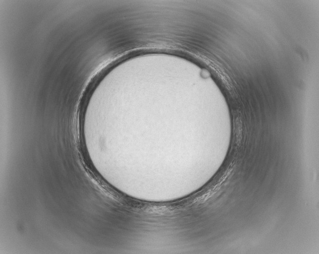 X0000114510982200911301144