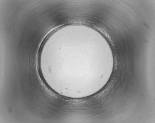 X0000114510984200911301144