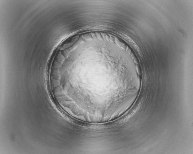 X0000114510989200911301144