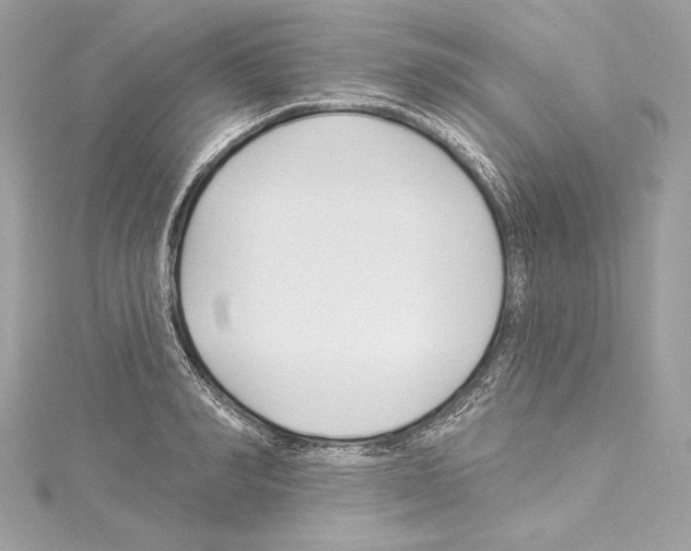 X0000114510990200911301144