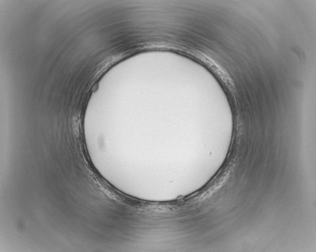 X0000114510993200911301144