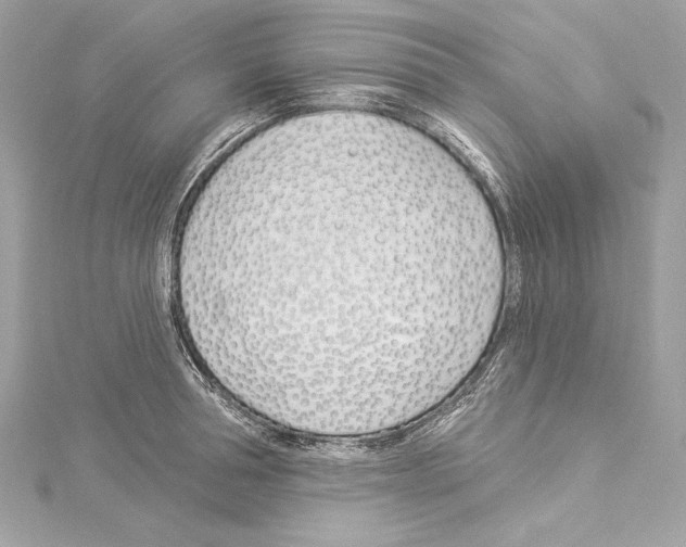 X0000114510994200911301144