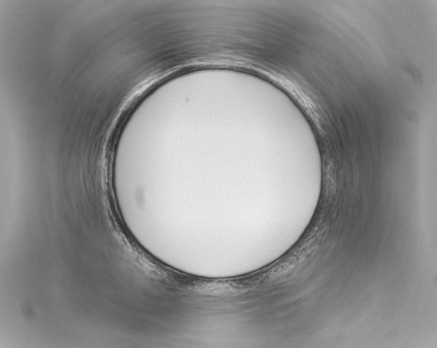 X0000114510998200911301144