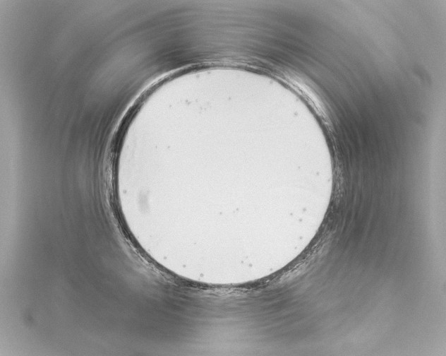 X0000114511000200911301144