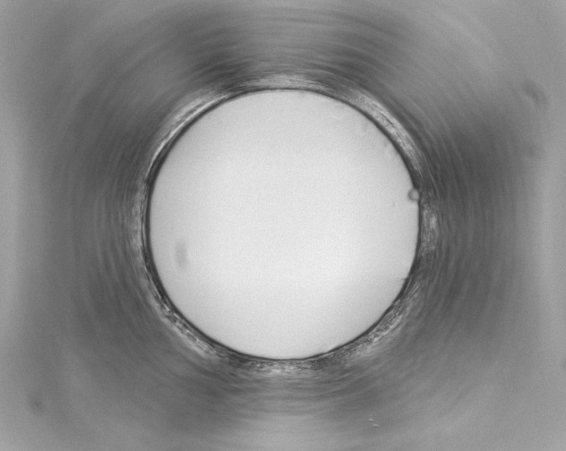 X0000114511002200911301144