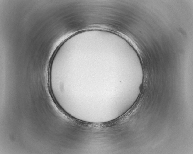 X0000114511003200911301144