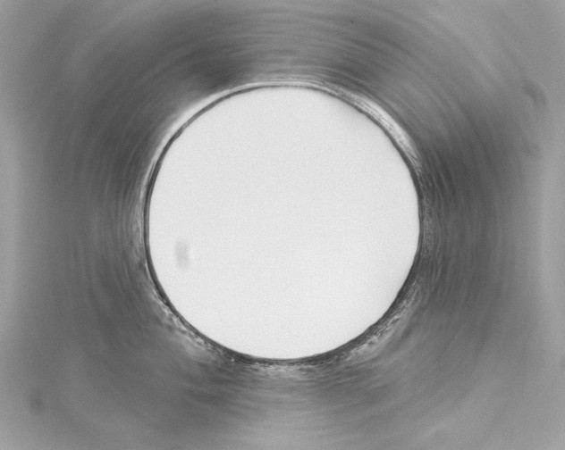 X0000114511004200911301144