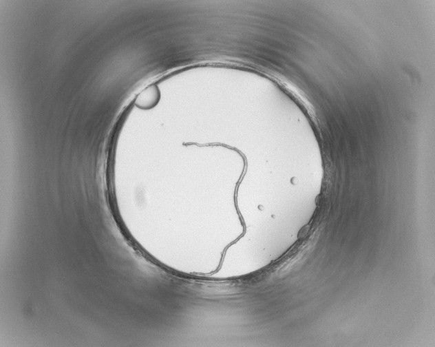 X0000114511007200911301144