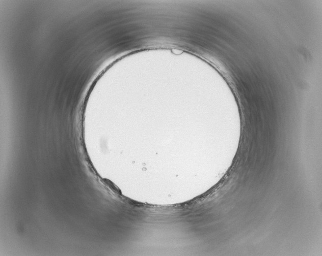 X0000114511008200911301144