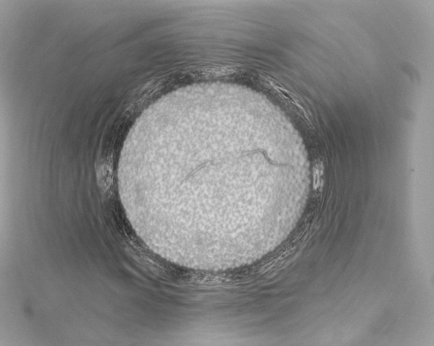 X0000114511011200911301143