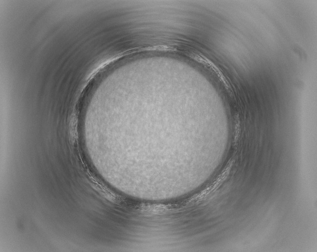 X0000114511019200911301144