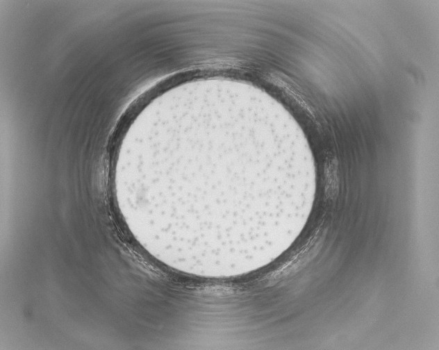 X0000114511021200911301144