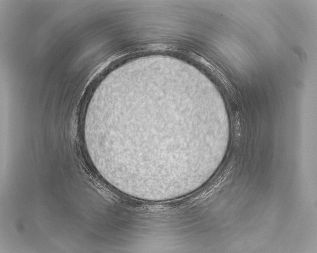 X0000114511023200911301144