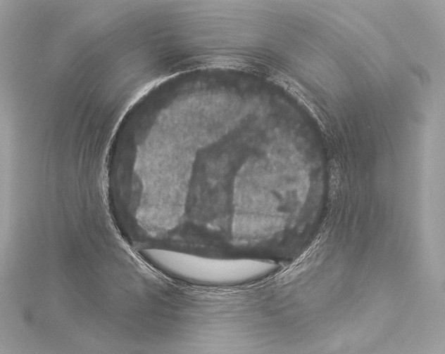 X0000114511024200911301144