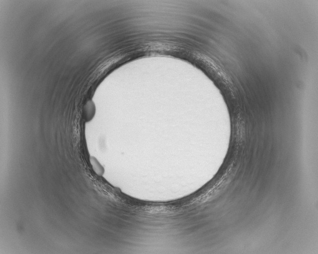 X0000114511025200911301144