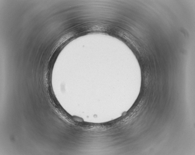 X0000114511026200911301144