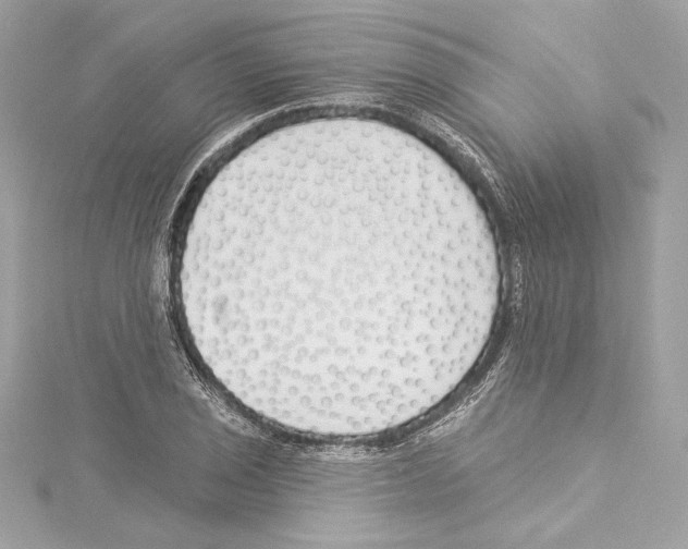 X0000114511029200911301144