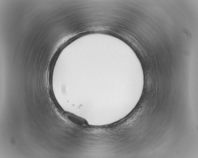 X0000114511030200911301144