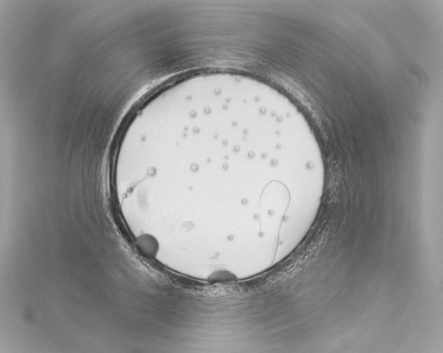 X0000114511032200911301144