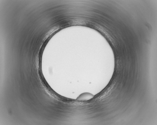 X0000114511034200911301144