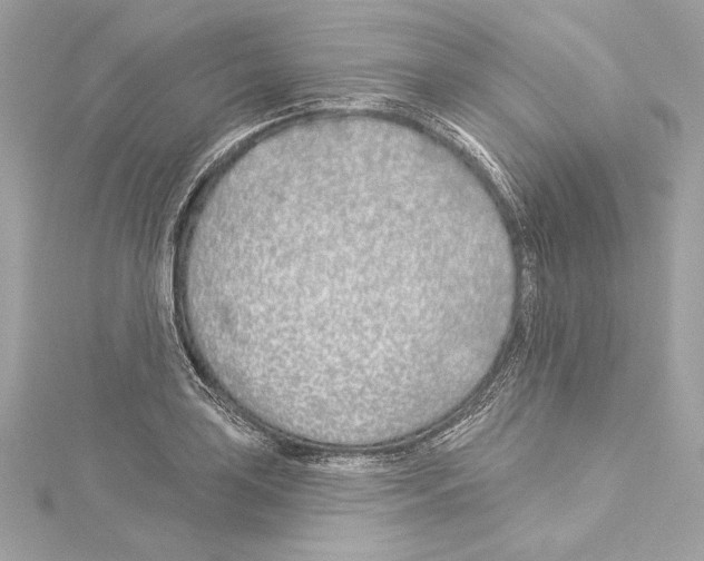 X0000114511035200911301144