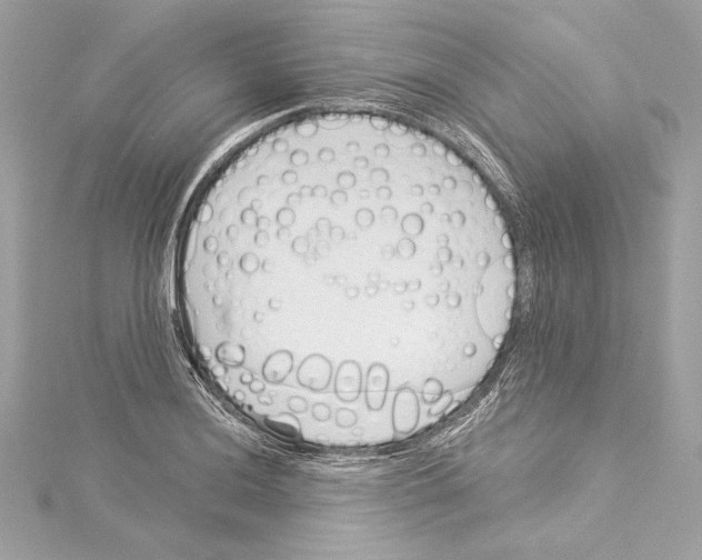 X0000114511036200911301144