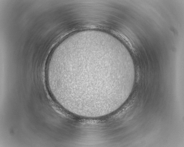 X0000114511039200911301144