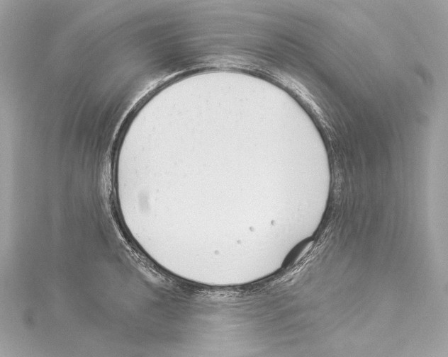 X0000114511040200911301144