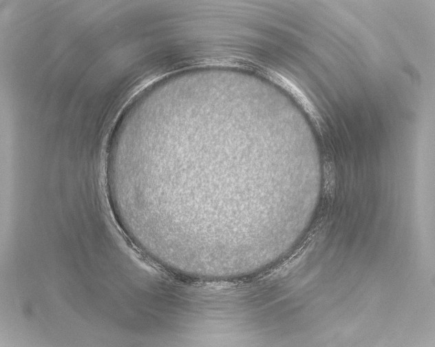 X0000114511043200911301144