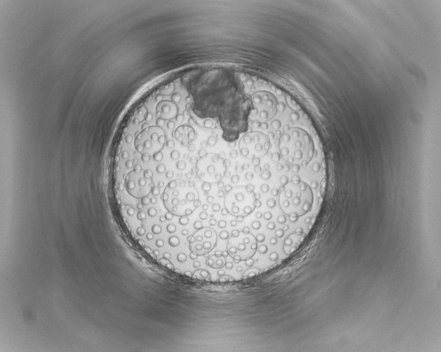 X0000114511044200911301144