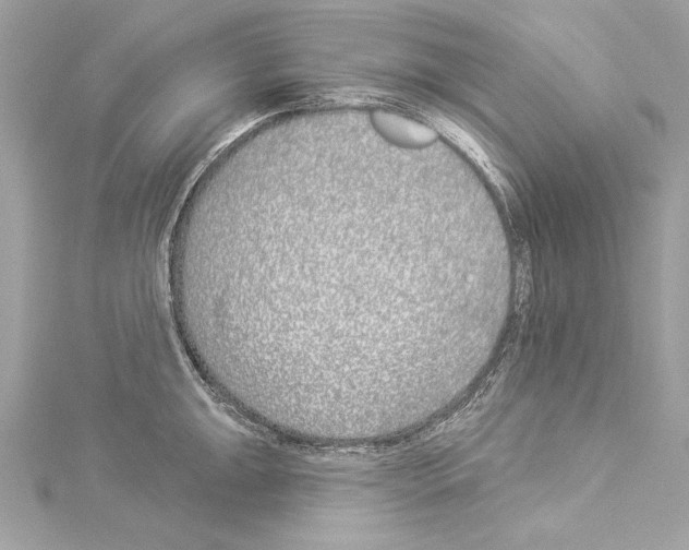 X0000114511047200911301144