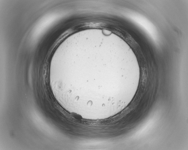 X0000114511052200911301144