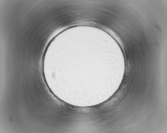 X0000114511053200911301144