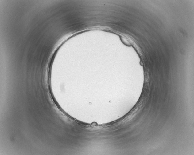 X0000114511054200911301144