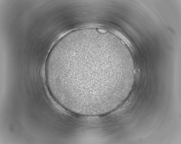 X0000114511055200911301144